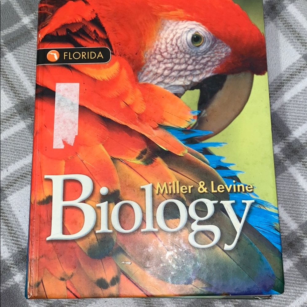 School book